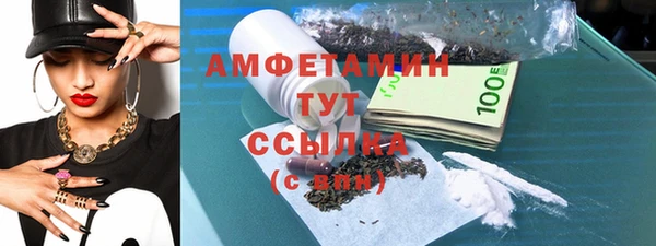 мдпв Гусь-Хрустальный