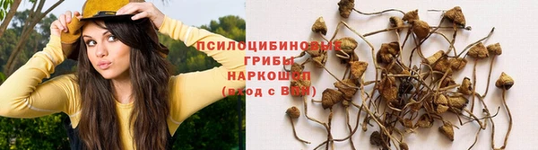 Альфа ПВП Арсеньев