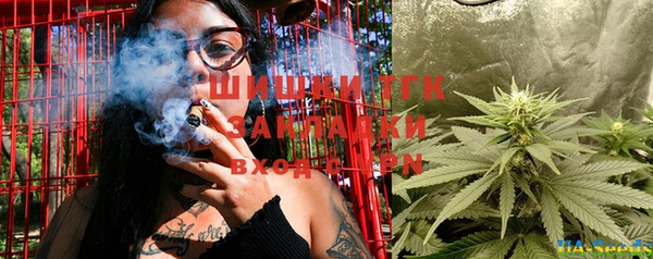 apvp Гусиноозёрск